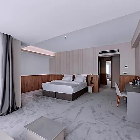 Otel Actor 4*